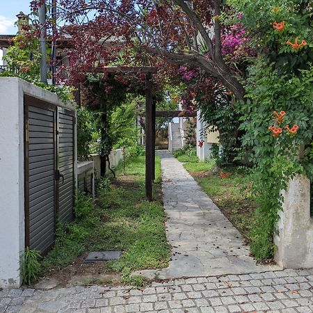 Melina Apartments Nikiti (Sithonia) Exterior foto